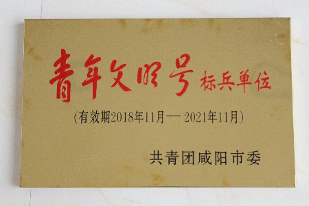 華浩軒公司榮獲2018年度咸陽市“青年文明號標(biāo)兵單位”榮譽(yù)稱...